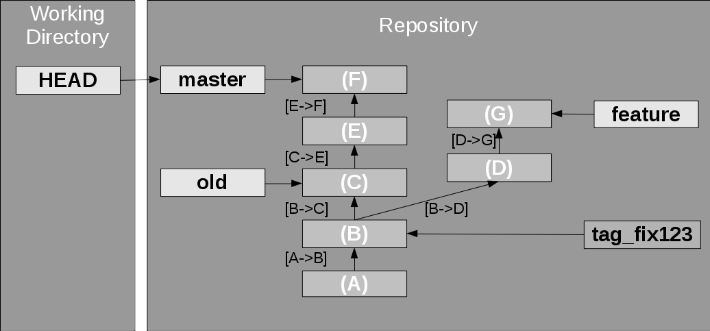 flow of a branch structure